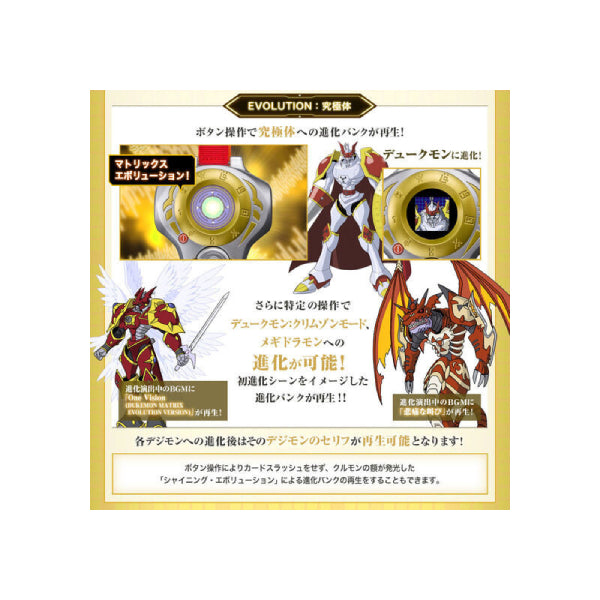 SCSA D-ARK .松田啓人ULTIMATE