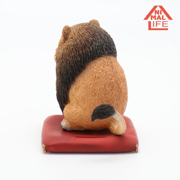 Animal Life - 野生大貓招運套裝