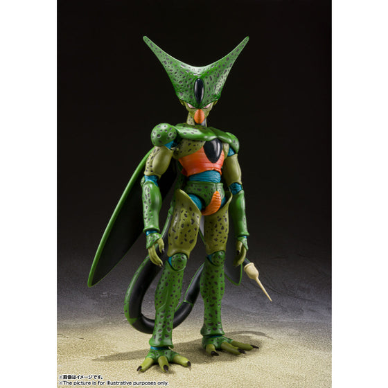 [SHF]《龍珠Z》斯路 -第一形態-