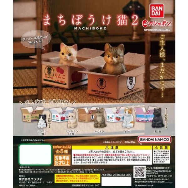 等待貓咪系列 扭蛋 (一套5款)