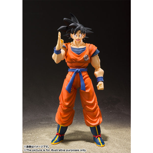 [SHF] 孫悟空 -地球上的撒亞人-