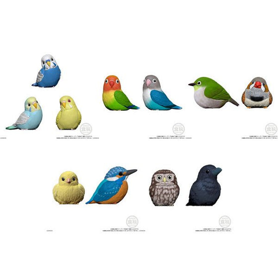 小鳥造型公仔第4彈 (不含口香糖) (一套11款)