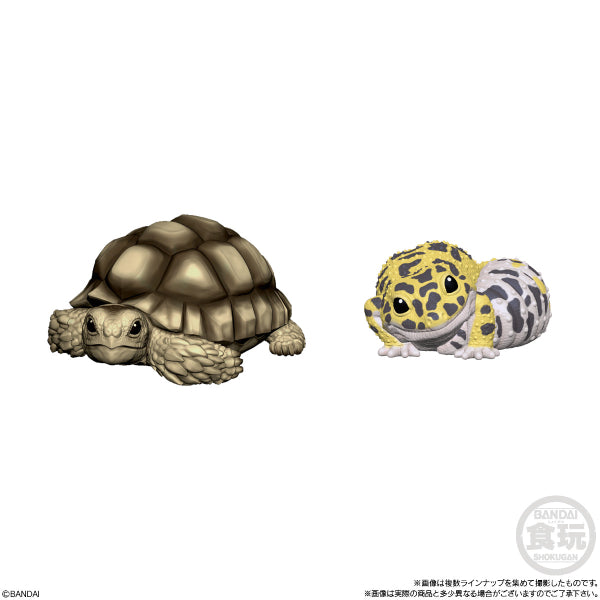 TE-NORI FRIENDS小動物公仔系列第8彈 (一套10款)