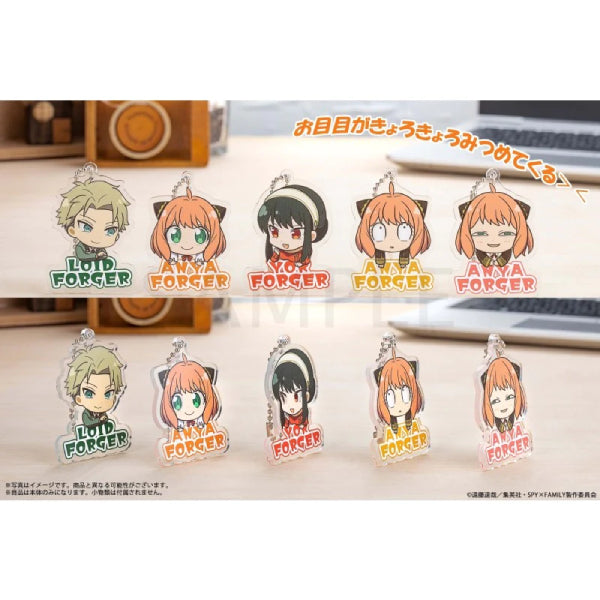 《間諜家家酒》SPY × FAMILY Kadokawa Kyorokyoro 2.5 亞加力鎖匙扣 (一盒6個)