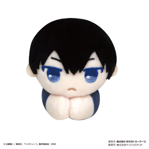 排球少年!! 角色擁抱公仔 COLLECTION (1套6款) (2022年5月再販版本)