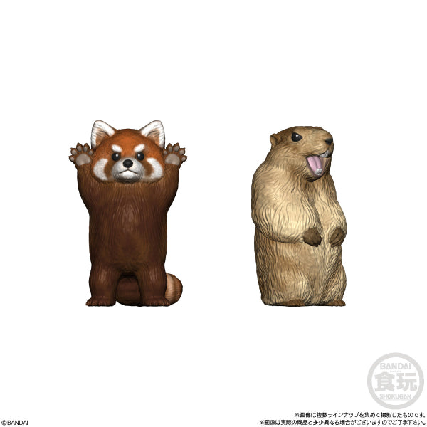 TE-NORI FRIENDS第9彈小動物 (一套8款)