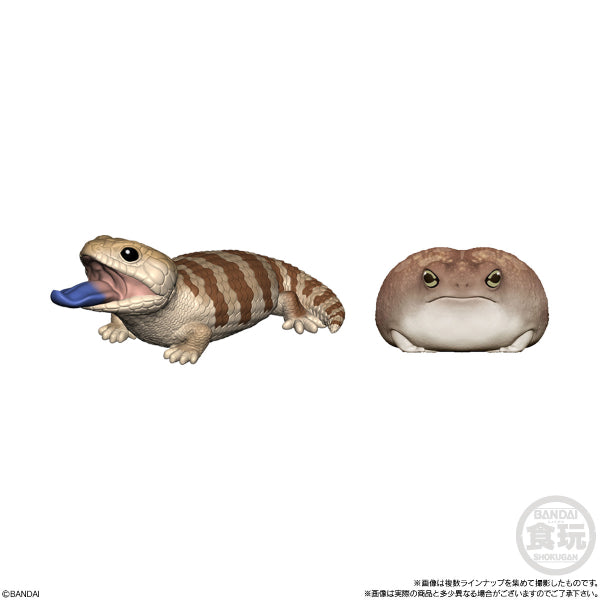 TE-NORI FRIENDS 6 爬蟲類 (一套11款)