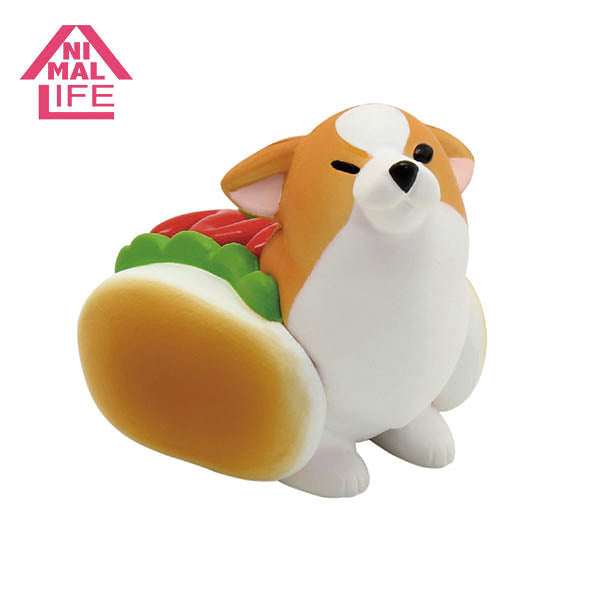 Animal Life - The Daily Corgi (Set of 6)