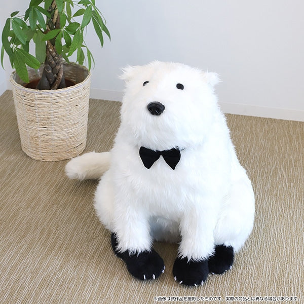 《間諜家家酒》 SPY × FAMILY 彭德 毛公仔