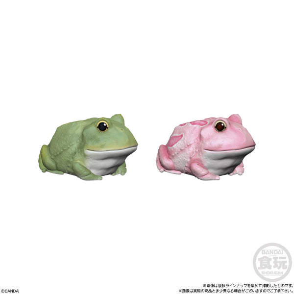 TE-NORI FRIENDS 6 爬蟲類 (一套11款)