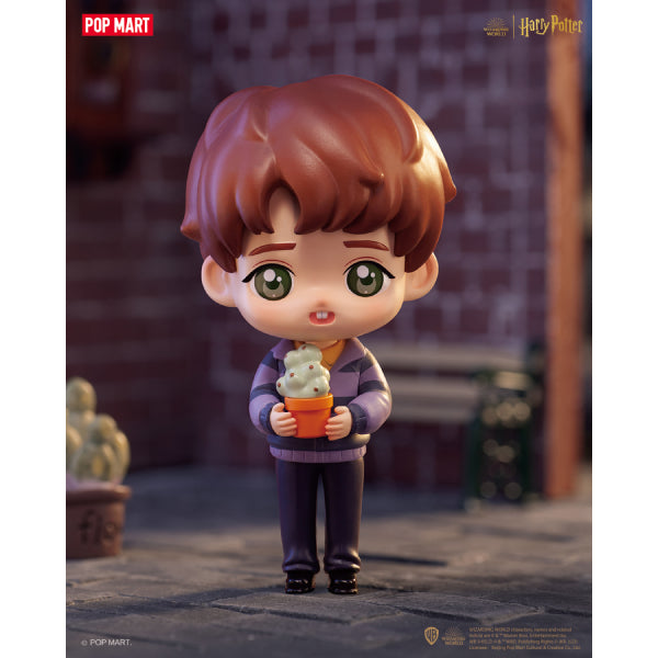 Pop Mart - 哈利波特開往霍格華茲系列