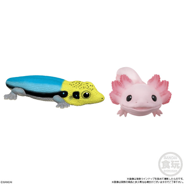 TE-NORI FRIENDS小動物公仔系列第8彈 (一套10款)