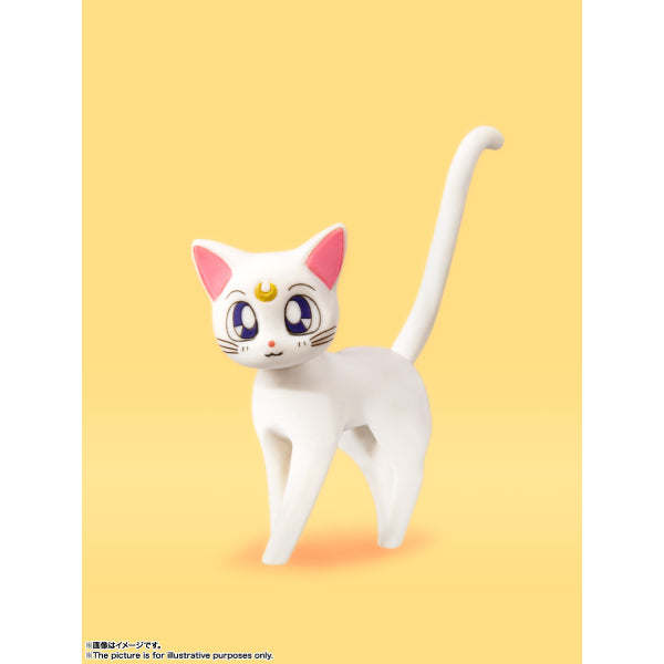 S.H.FIGUARTS 美少女戰士 SAILOR MOON VENUS -ANIMATION COLOR EDITION-