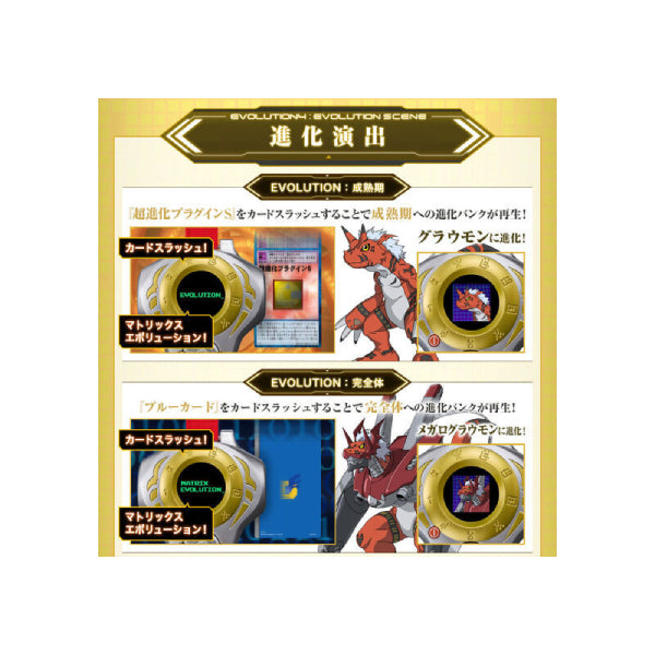 SCSA D-ARK .松田啓人ULTIMATE