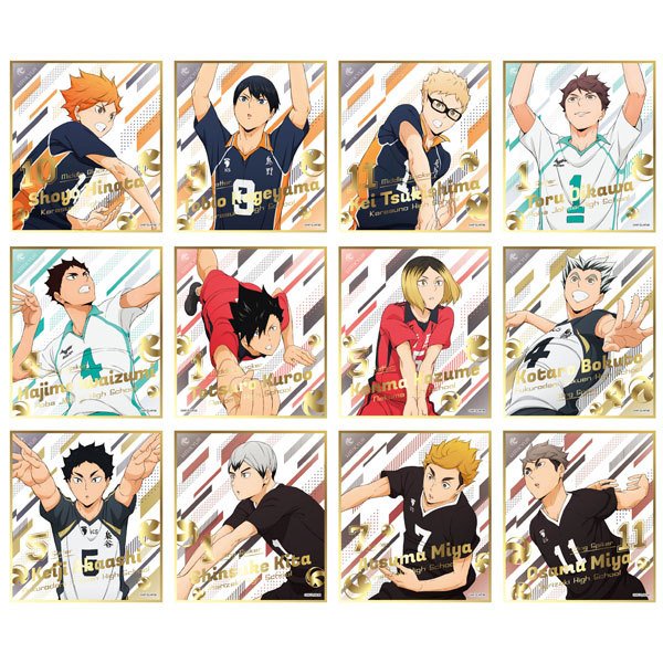 《排球少年》VISUAL 色紙 COLLECTION 5 (一套12款)