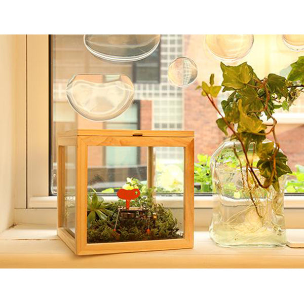 Glass Storage Box (Square/Small Rectangle)_Accessories_Kikkerland - Up-Next