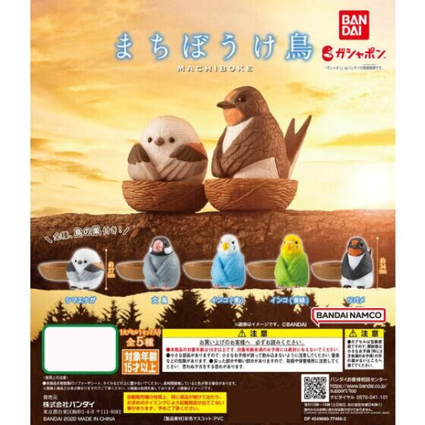 呆等鳥 扭蛋 (一套5款)