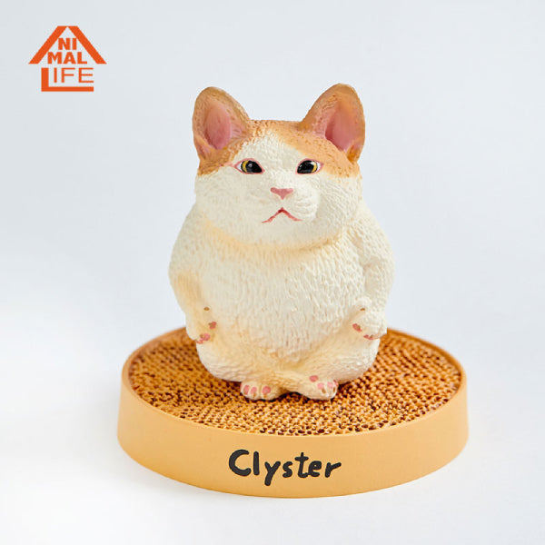 ANIMAL LIFE 合作系列 朝隈俊男 x 黃阿瑪的後宮生活 (一盒8隻)