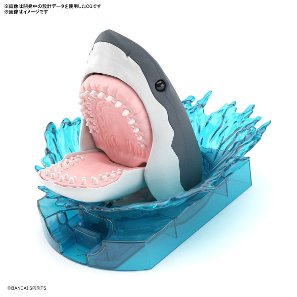 探索自然實驗室 大白鯊