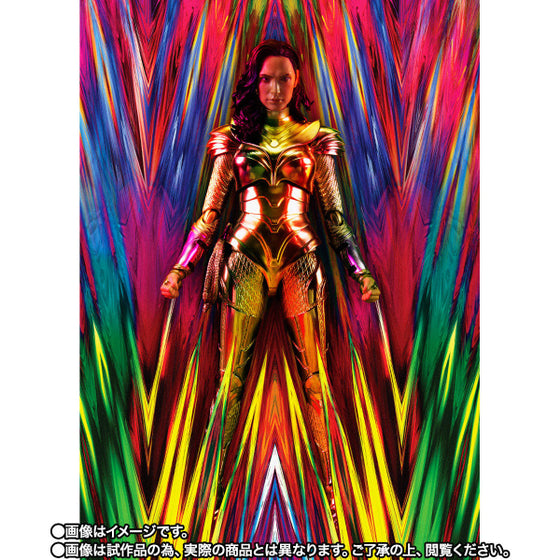 S.H.Figuarts 神奇女俠 金鷹裝甲 (WW84) (網店限定)