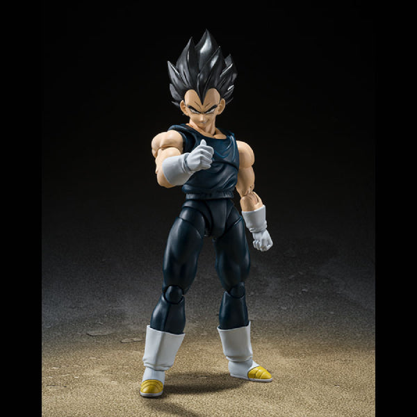 S.H.FIGUARTS《龍珠超 超級英雄》比達 -SUPER HERO-
