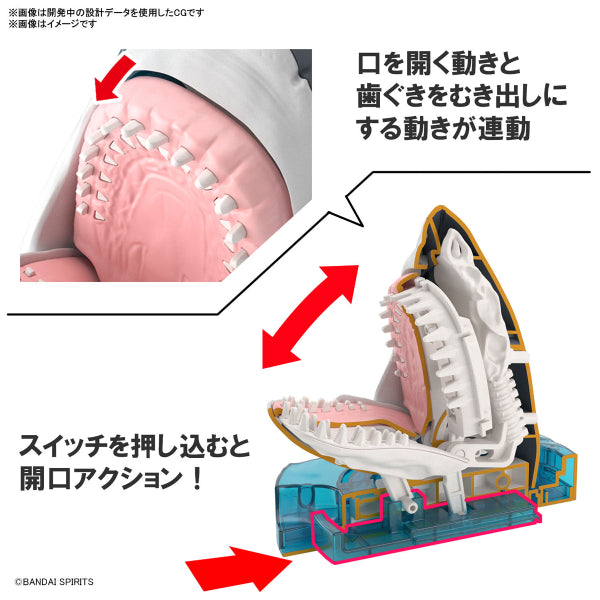 探索自然實驗室 大白鯊