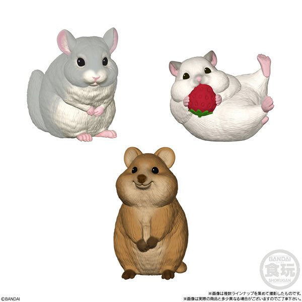 TE-NORI FRIENDS小動物公仔系列第5彈 (一套10款)