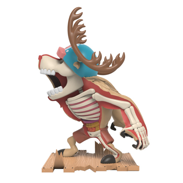 Mighty Jaxx 半解剖系列：7" One Piece 海賊王 Monster Point (XXRAY Plus)