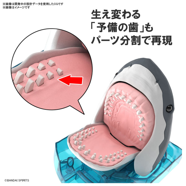 探索自然實驗室 大白鯊