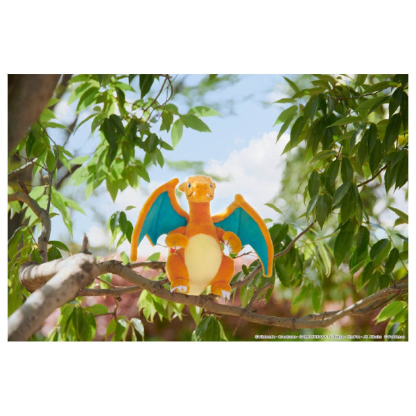 寵物小精靈毛公仔 - 噴火龍