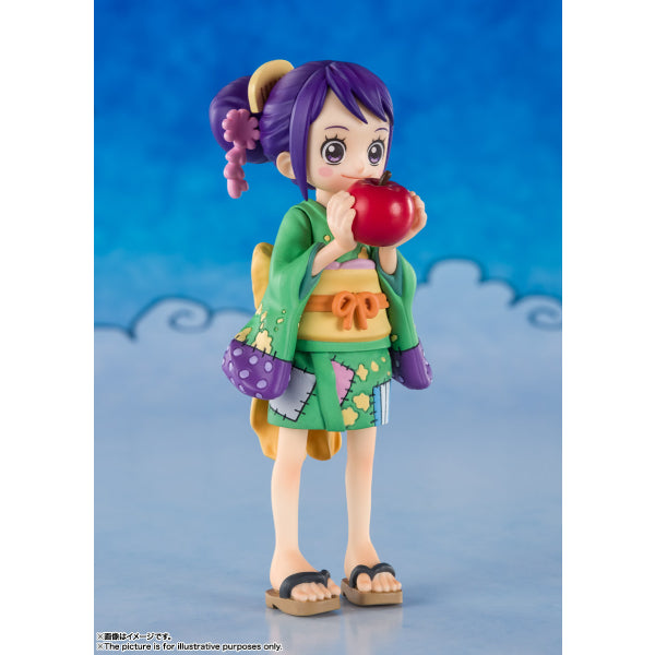 FIGUARTS ZERO 海賊王 和之國系列 草帽海賊團 BANDAI人偶玩具