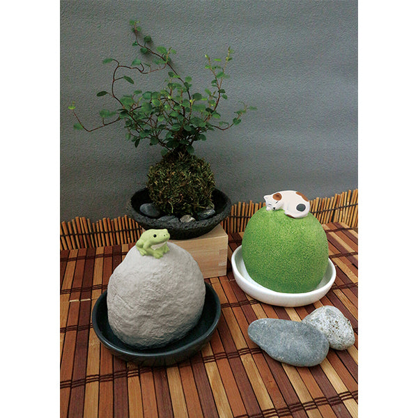 Moistness Pot Ball Stone Frog/Cat (humidifier)