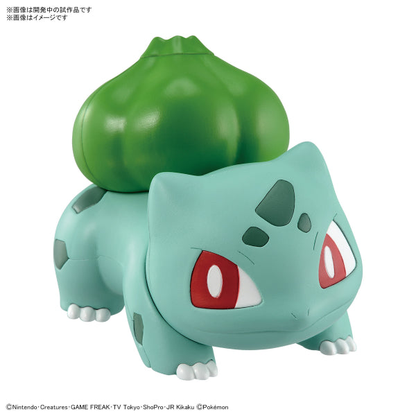 BANDAI POKEPLA QUICK #13 寵物小精靈 奇異種子