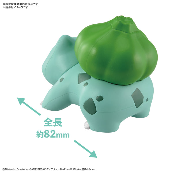 BANDAI POKEPLA QUICK #13 寵物小精靈 奇異種子