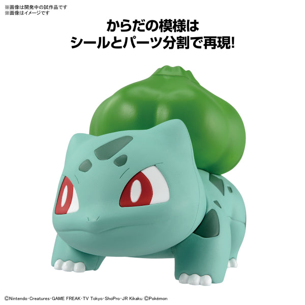 BANDAI POKEPLA QUICK #13 寵物小精靈 奇異種子
