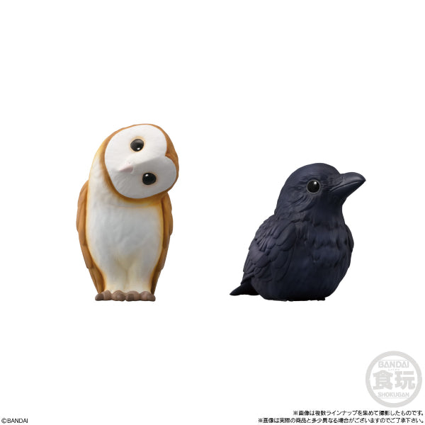 TE-NORI FRIENDS 7 鳥類 (一套10款)