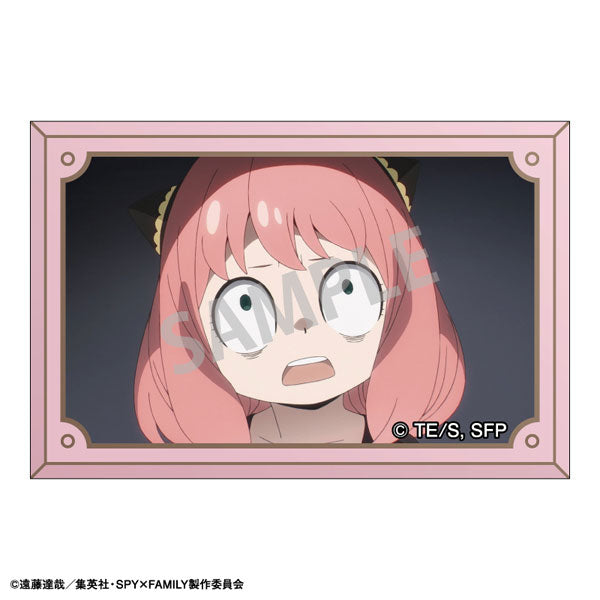 《間諜家家酒》SPY × FAMILY Kamio 四邊形襟章 (一套10款)