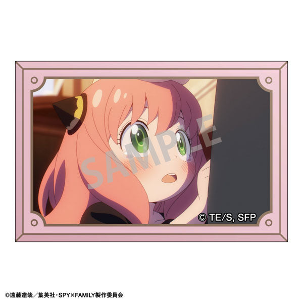 《間諜家家酒》SPY × FAMILY Kamio 四邊形襟章 (一套10款)