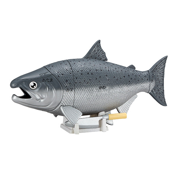 [解體拼圖][動物系列] 吞拿魚