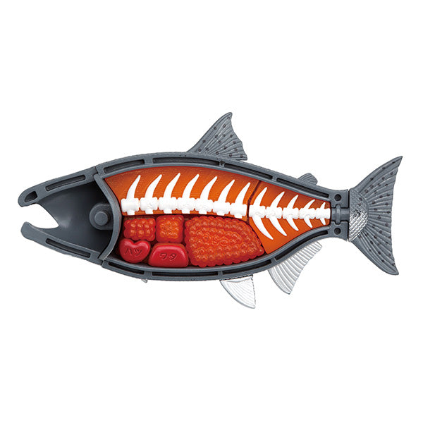 [解體拼圖][動物系列] 吞拿魚