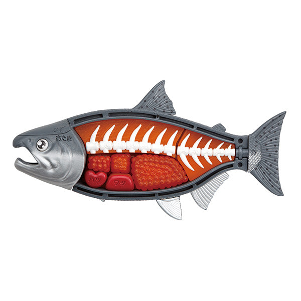 [解體拼圖][動物系列] 吞拿魚